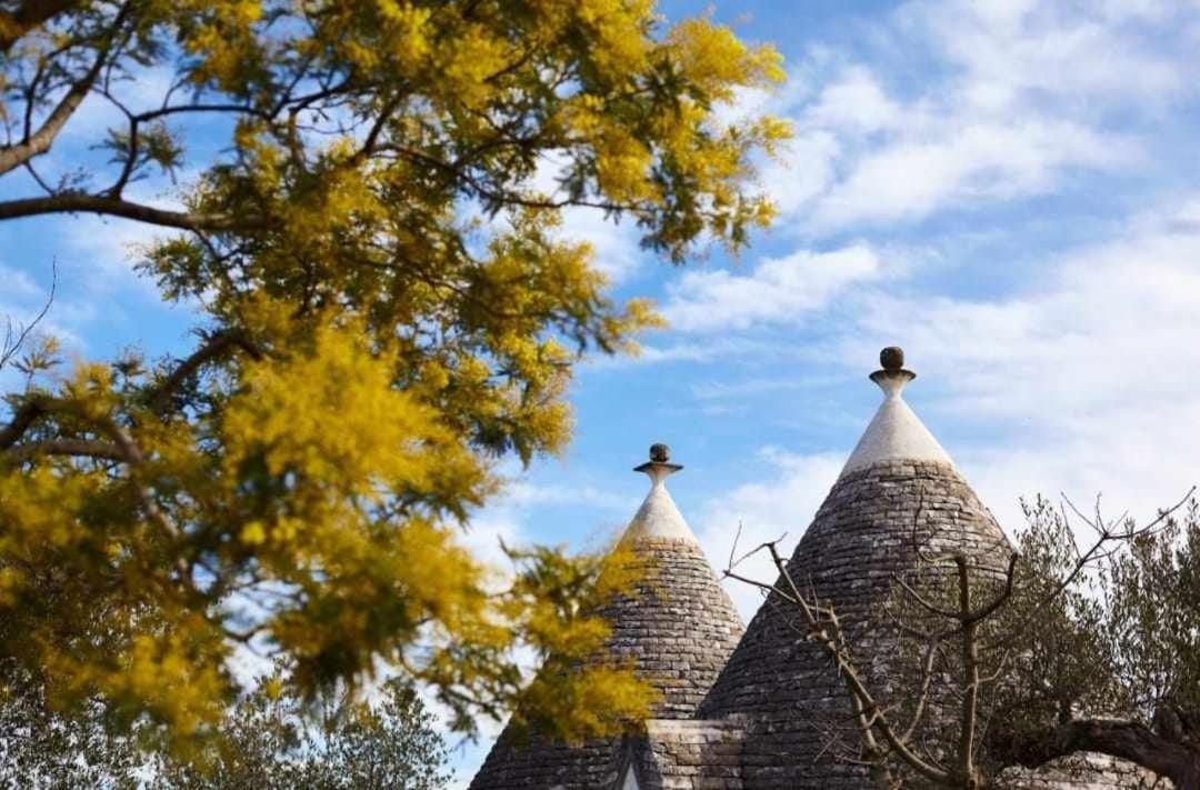 Trulli Azzalema With Exclusive Pool Villa Brindisi Luaran gambar
